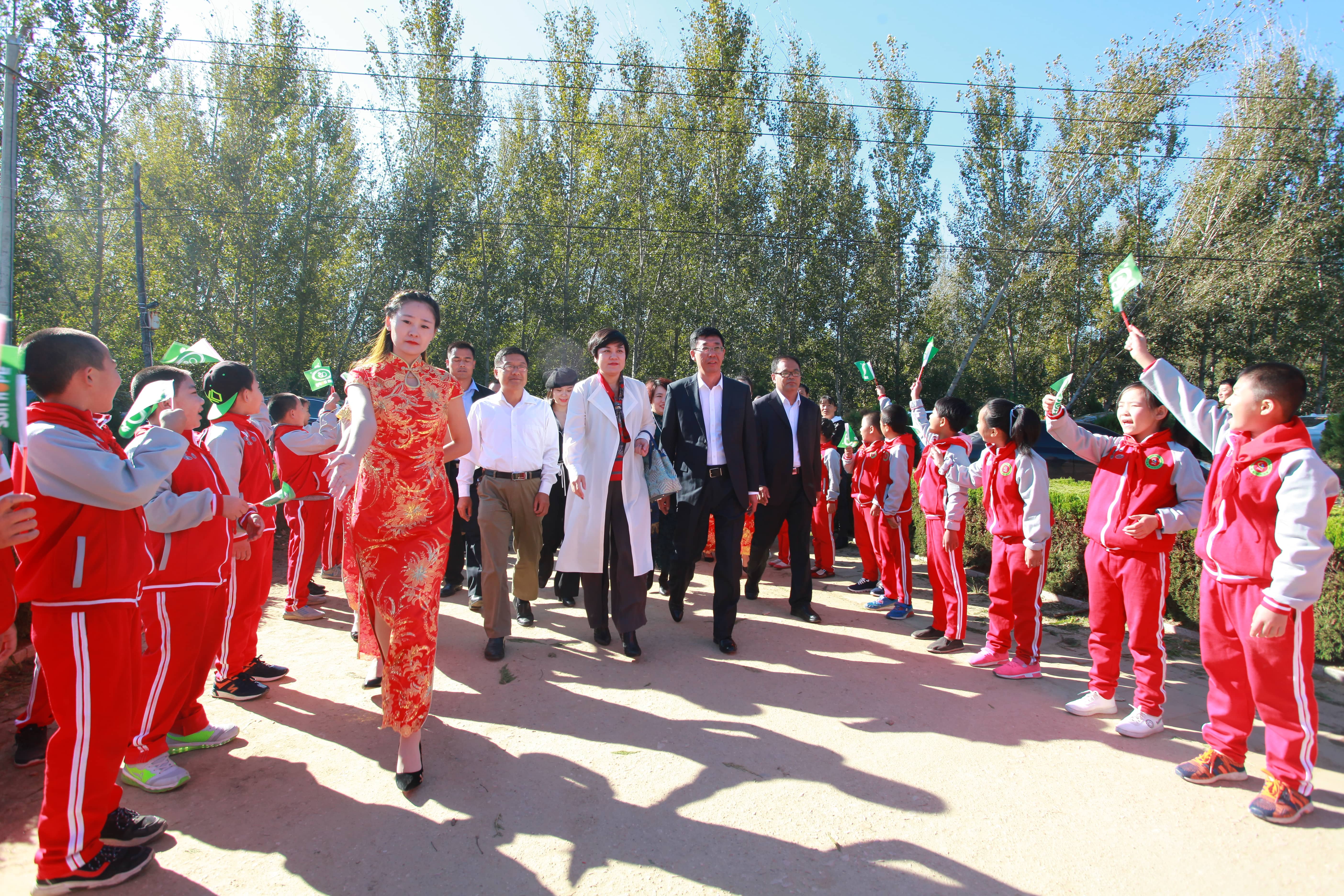 第177所 日照市东港区陈疃镇东辰开云手机在线官网刘丽新小学