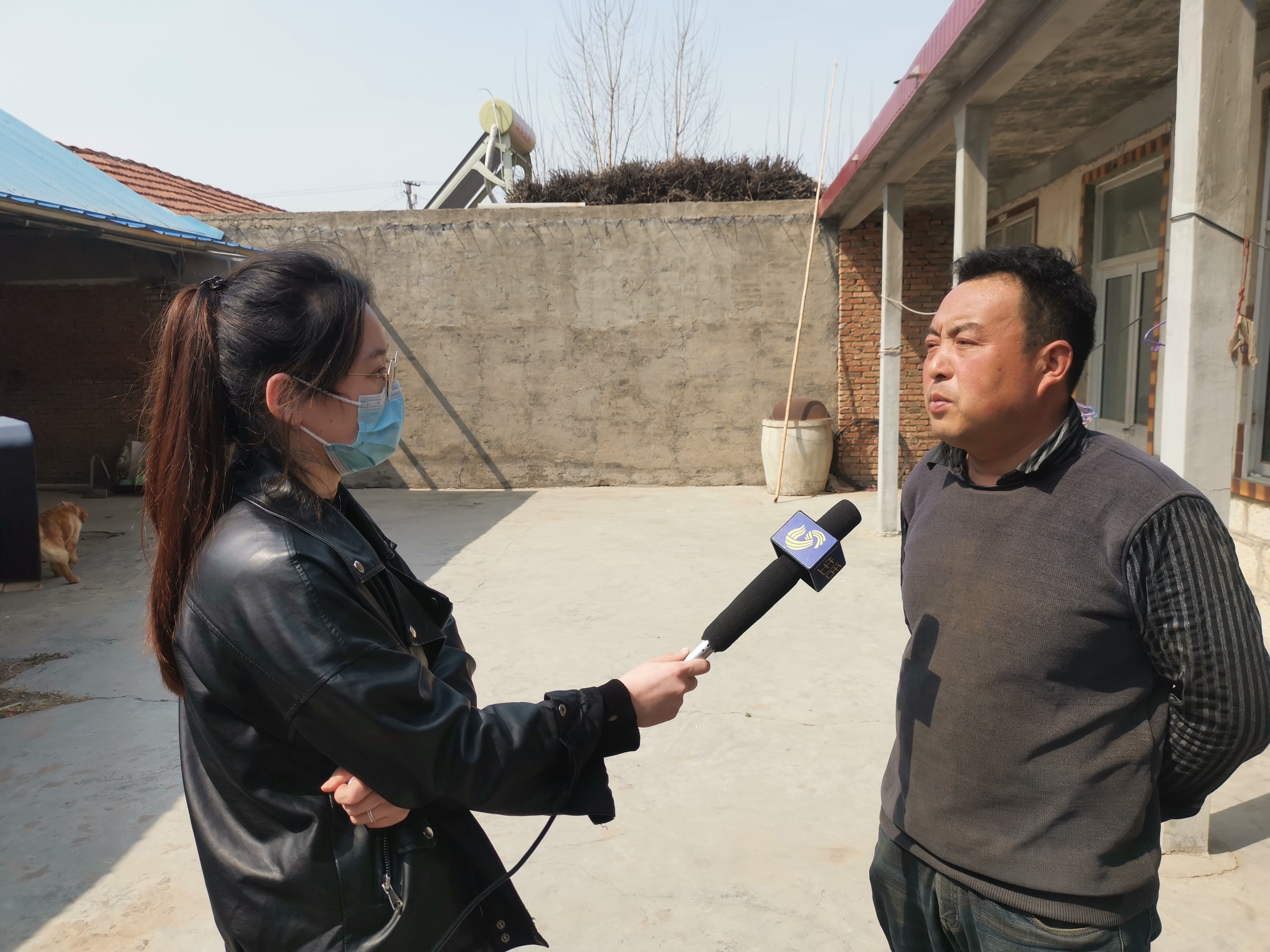第209所 平度市崔家集镇状元府开云手机在线官网刘丽新小学 第209所 平度市崔家集镇状元府开云手机在线官网刘丽新小学