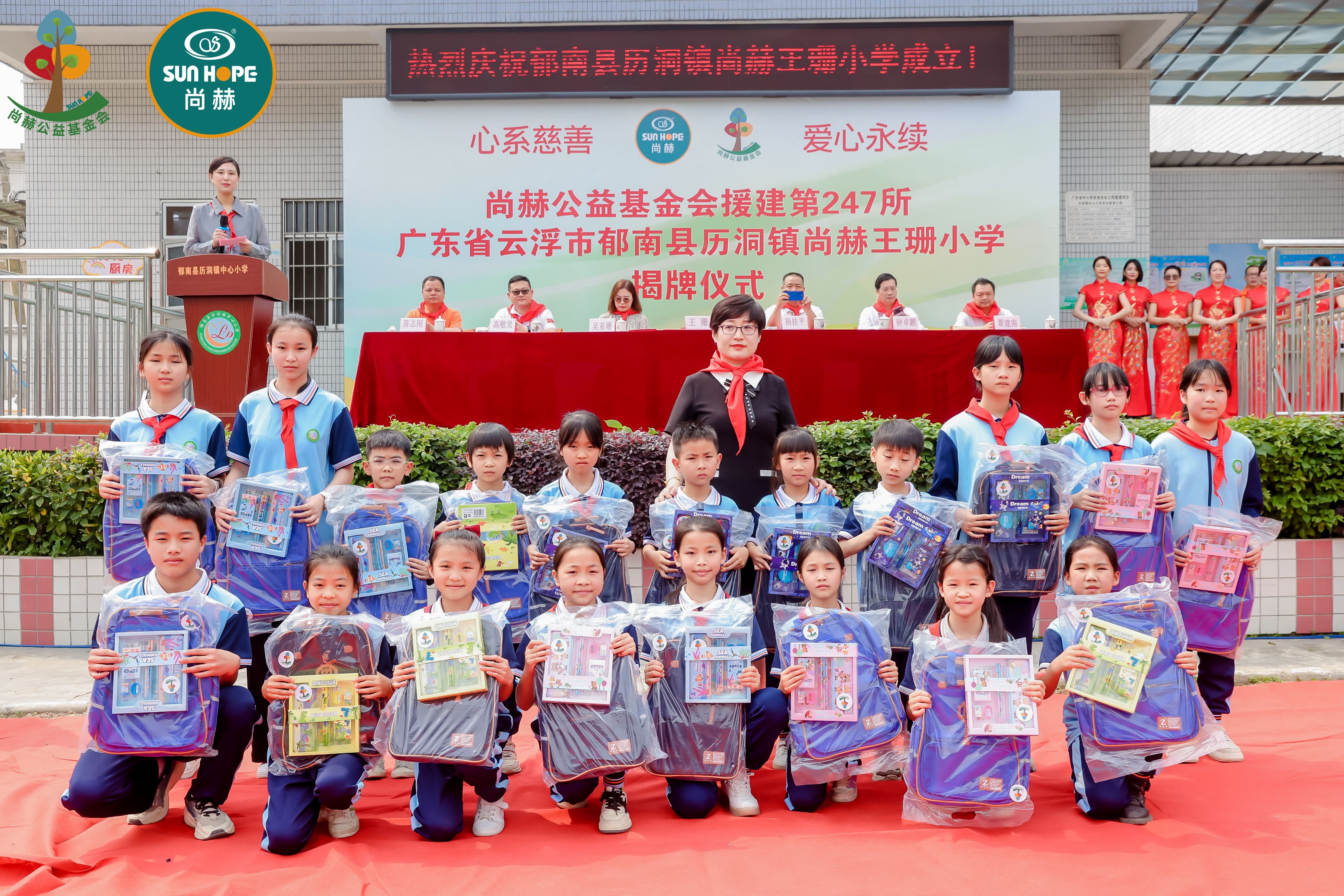 第247所 广东省云浮市郁南县历洞镇开云手机在线官网王珊小学