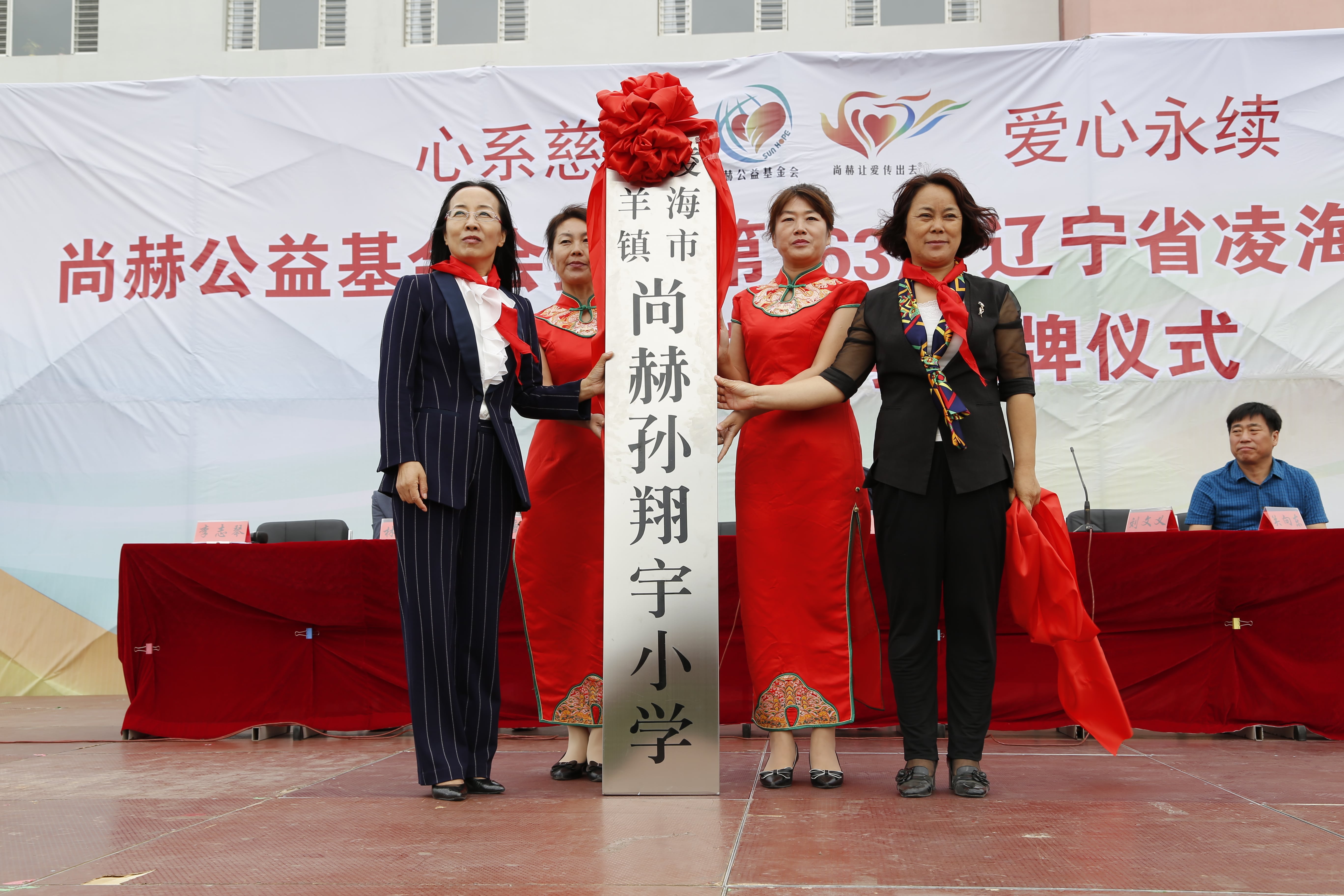 第163所 凌海市双羊镇开云手机在线官网孙翔宇小学
