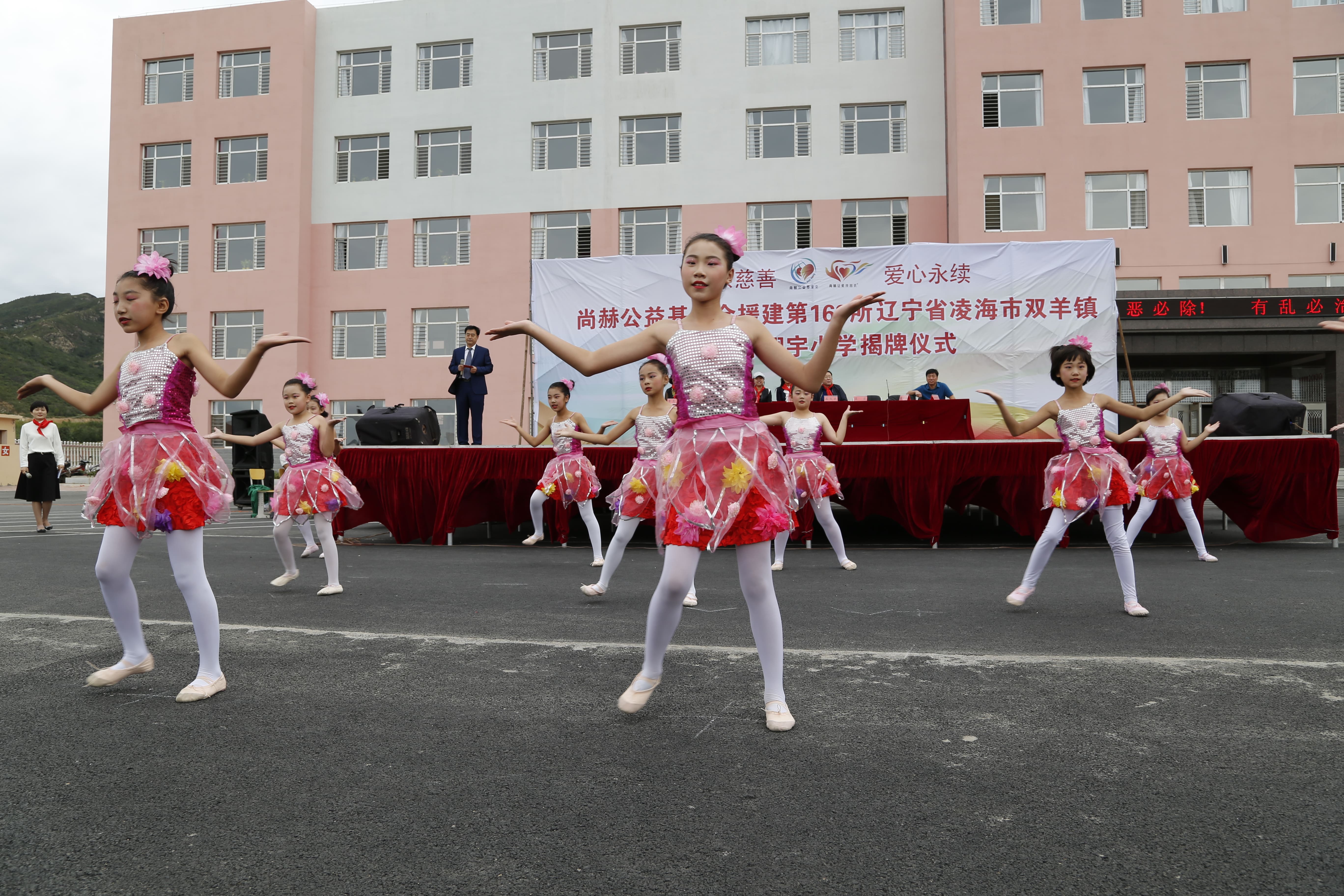 第163所 凌海市双羊镇开云手机在线官网孙翔宇小学