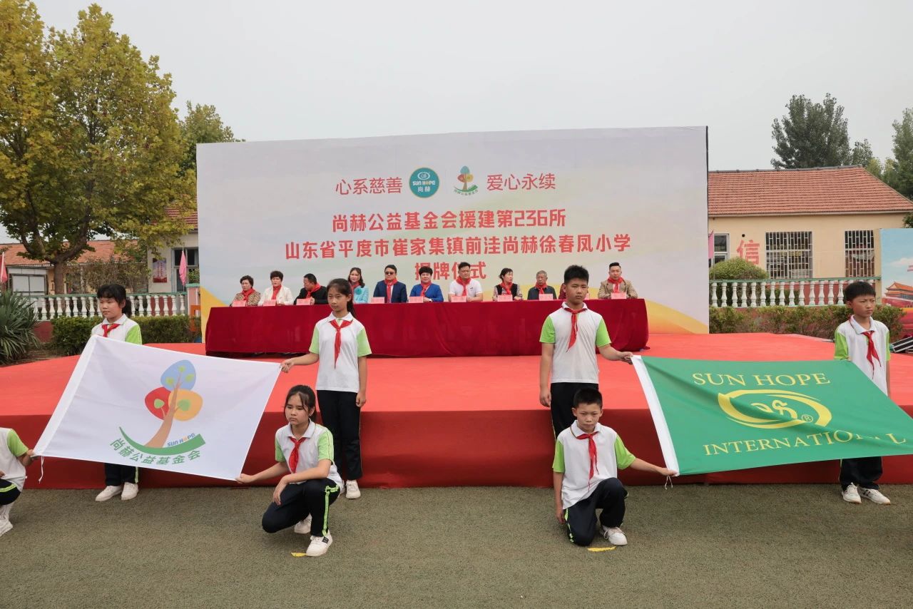 第236所 山东省平度市崔家集镇前洼开云手机在线官网徐春凤小学