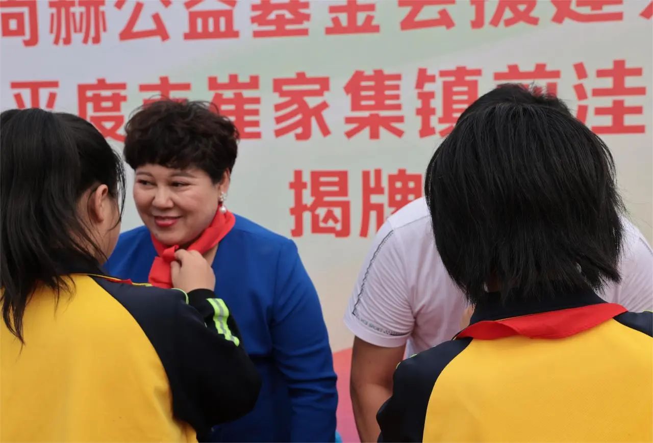 第236所 山东省平度市崔家集镇前洼开云手机在线官网徐春凤小学