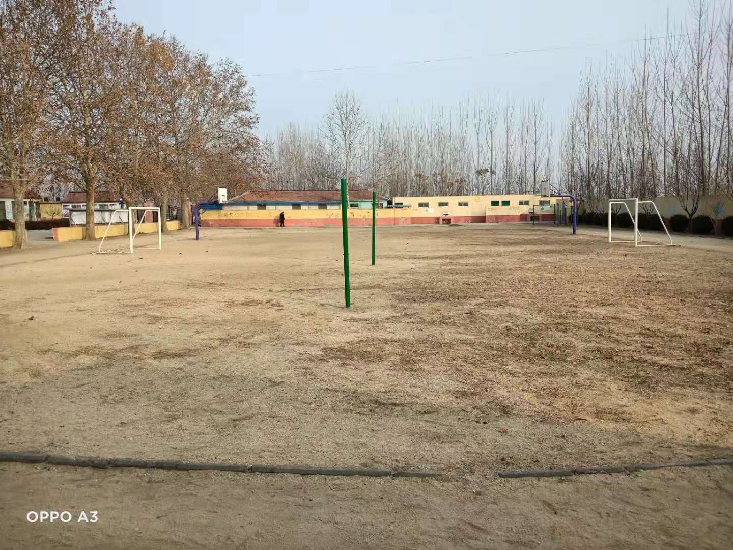 第209所 平度市崔家集镇状元府开云手机在线官网刘丽新小学 第209所 平度市崔家集镇状元府开云手机在线官网刘丽新小学