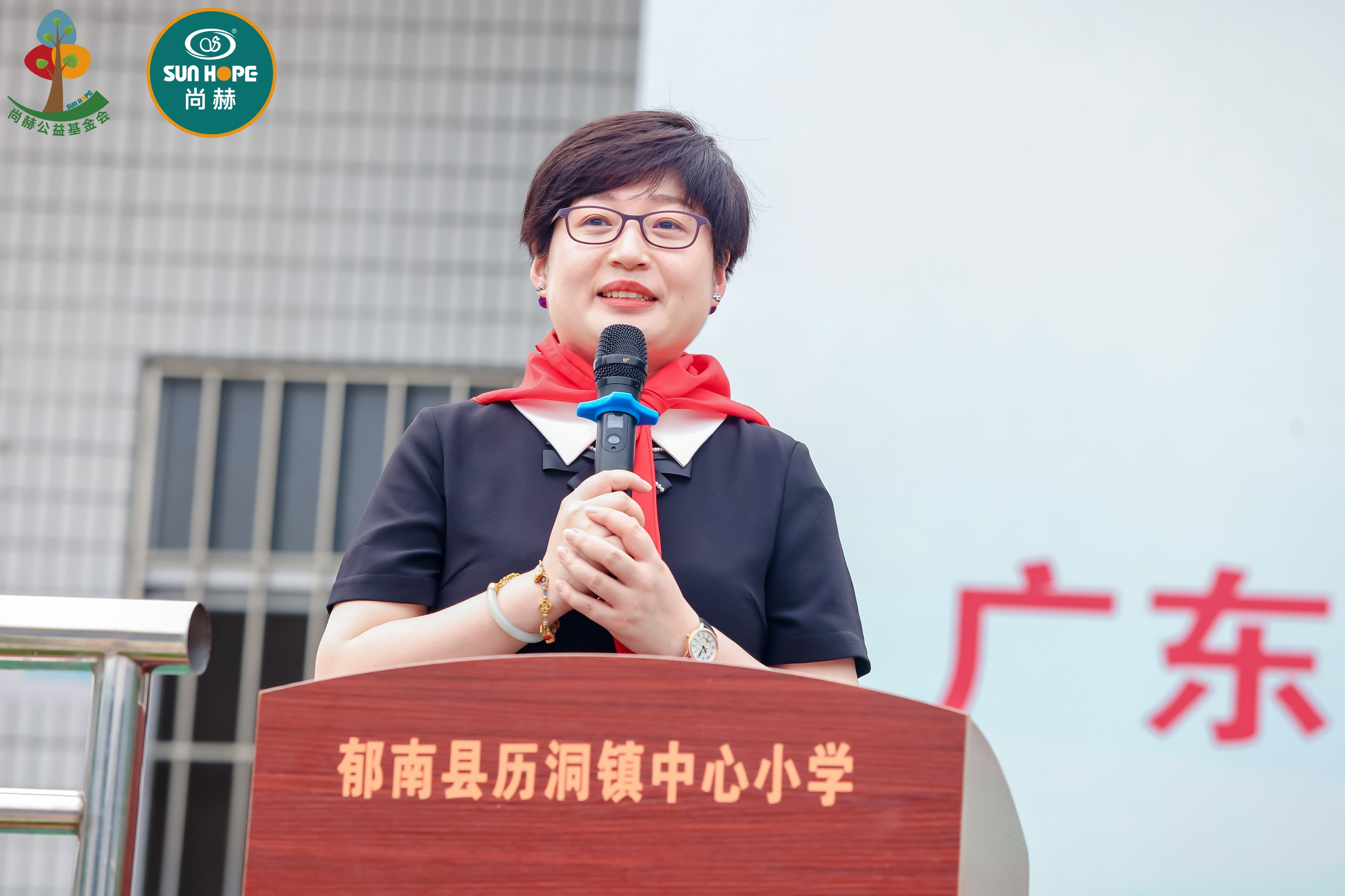 第247所 广东省云浮市郁南县历洞镇开云手机在线官网王珊小学