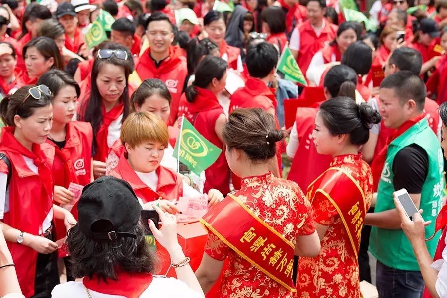 第81所 衢州市龙游县官潭福和开云手机在线官网万宝雪小学